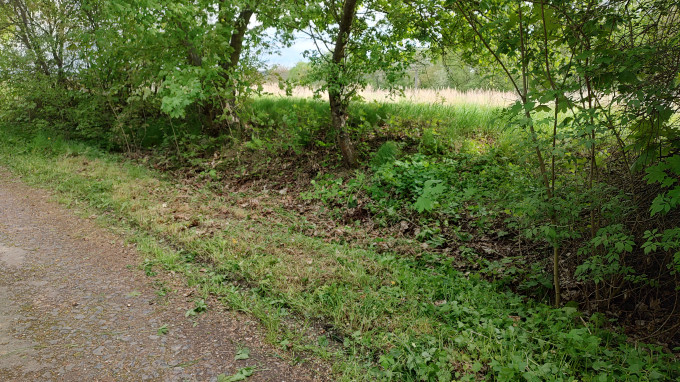 IMG_20230506_160102894_HDR