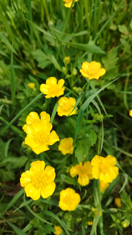 IMG_20230506_161302885_HDR