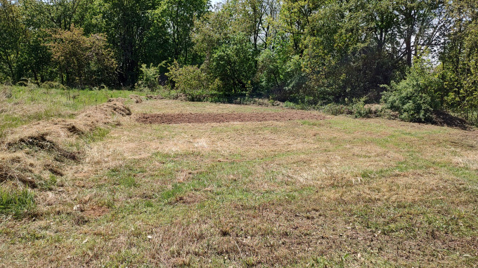IMG_20230508_123442937_HDR