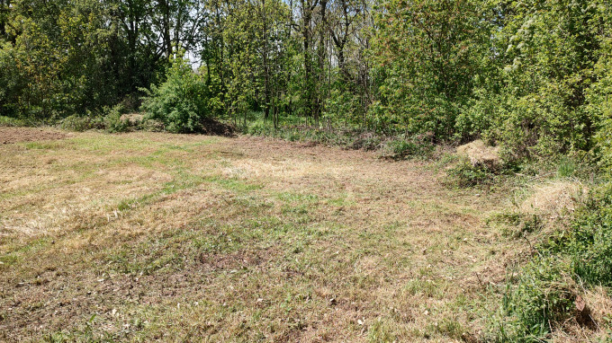 IMG_20230508_123447567_HDR