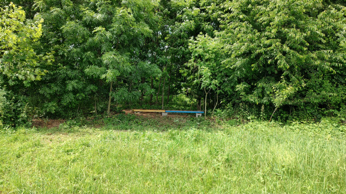 IMG_20230608_135004220_HDR
