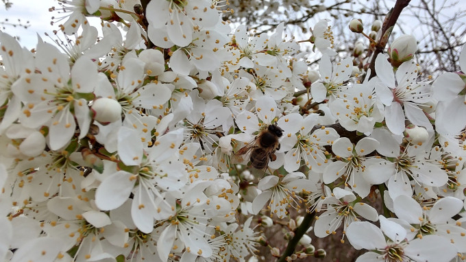 IMG_20240315_153319600_HDR