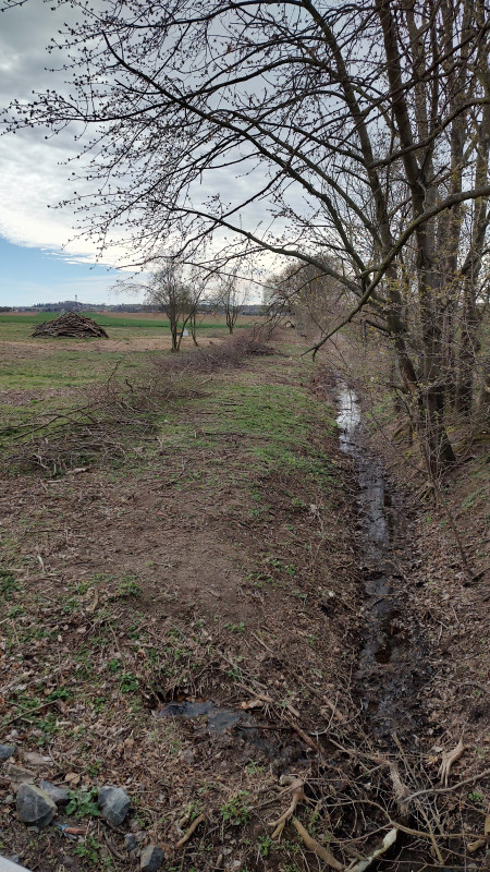 IMG_20240329_091755565_HDR