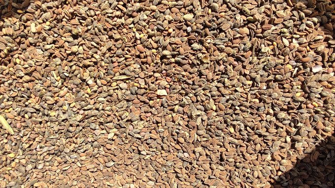 IMG_20240430_083757334_HDR