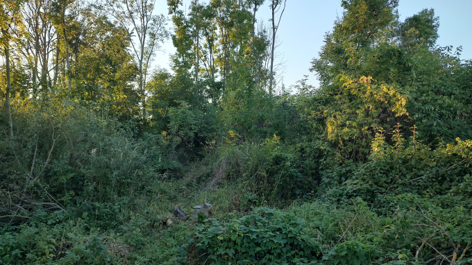 IMG_20230921_182333264_HDR