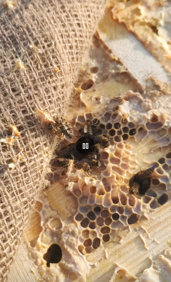 Screenshot_20250209-155051 2